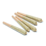 5 Pack Dogwalker Prerolls