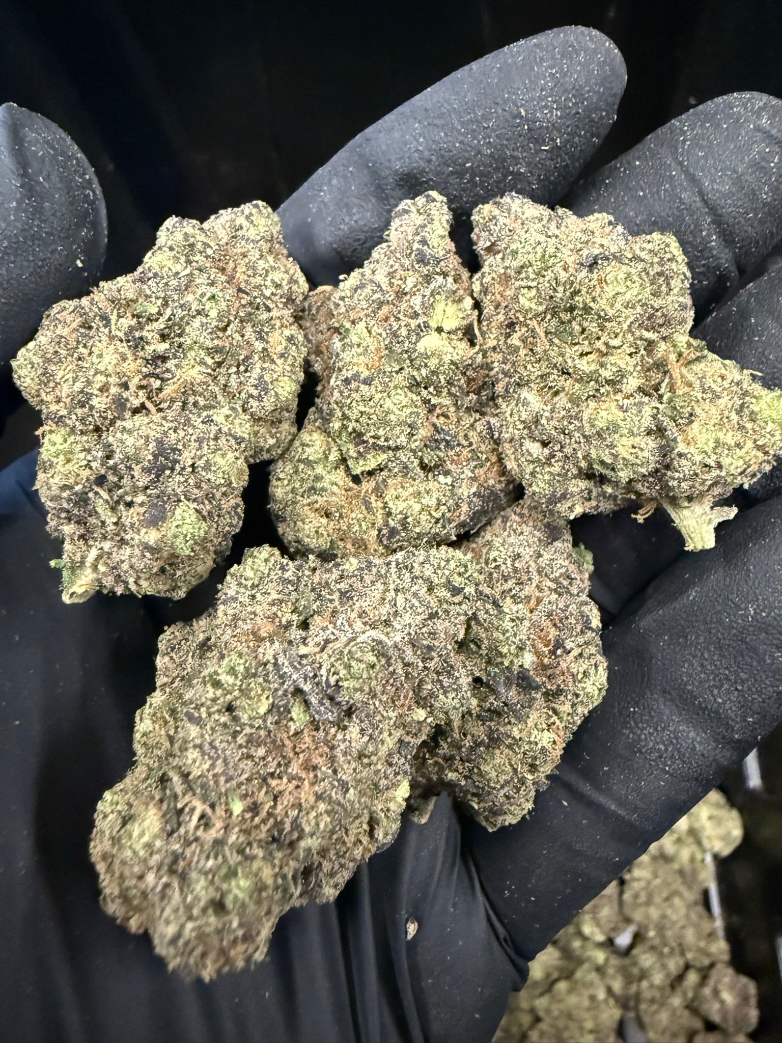 Hashburger