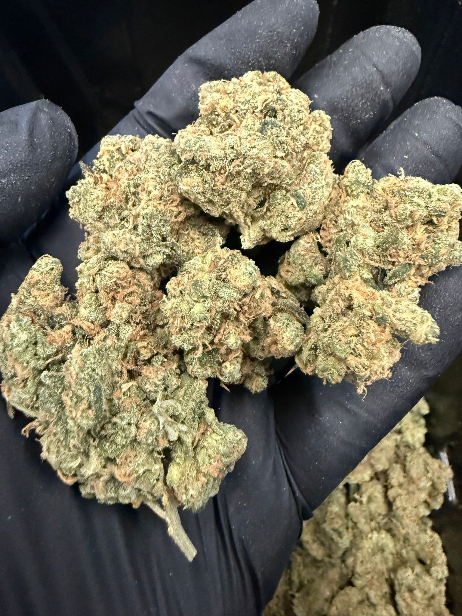 Blue Dream