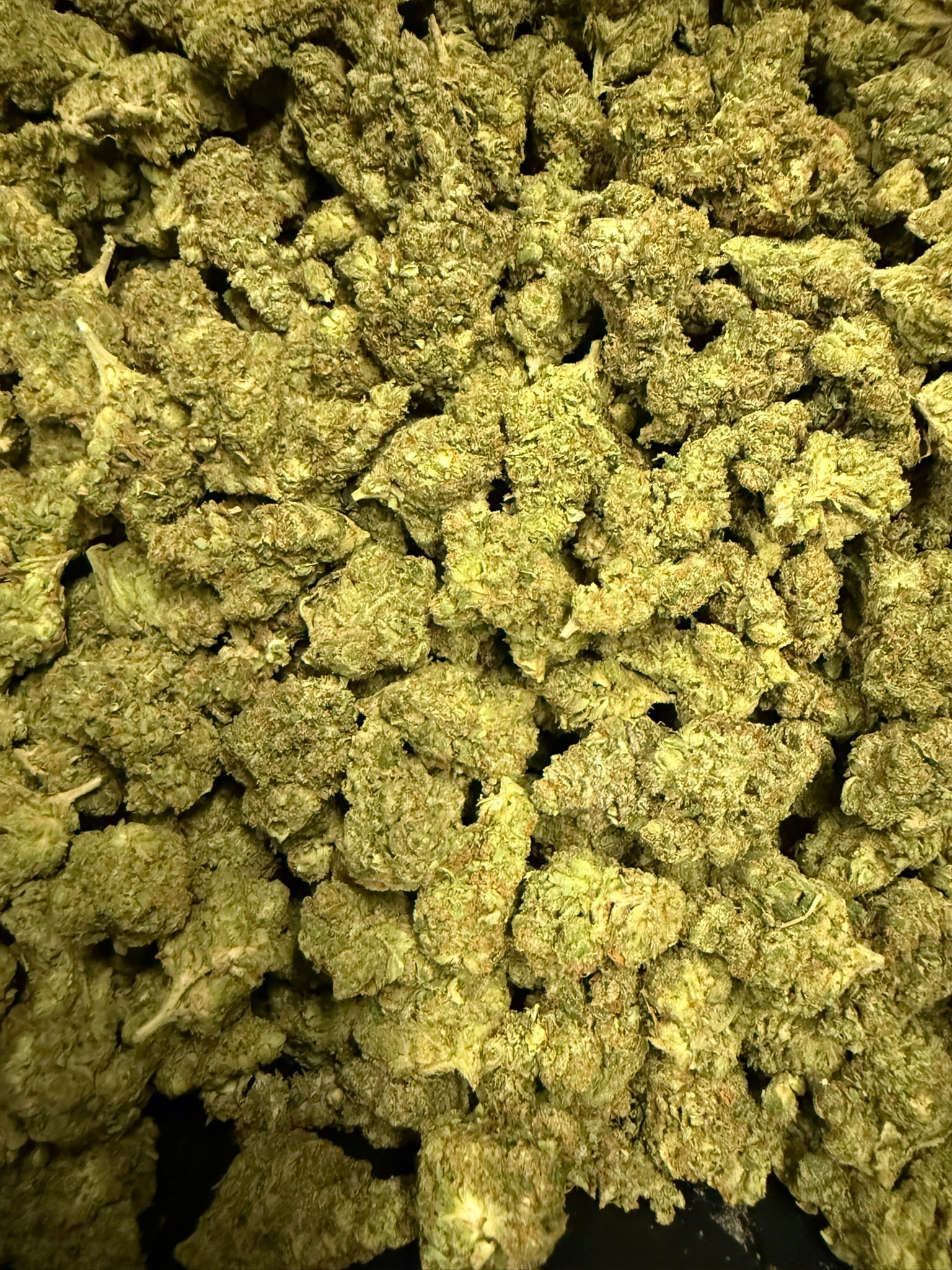 Super Glue
