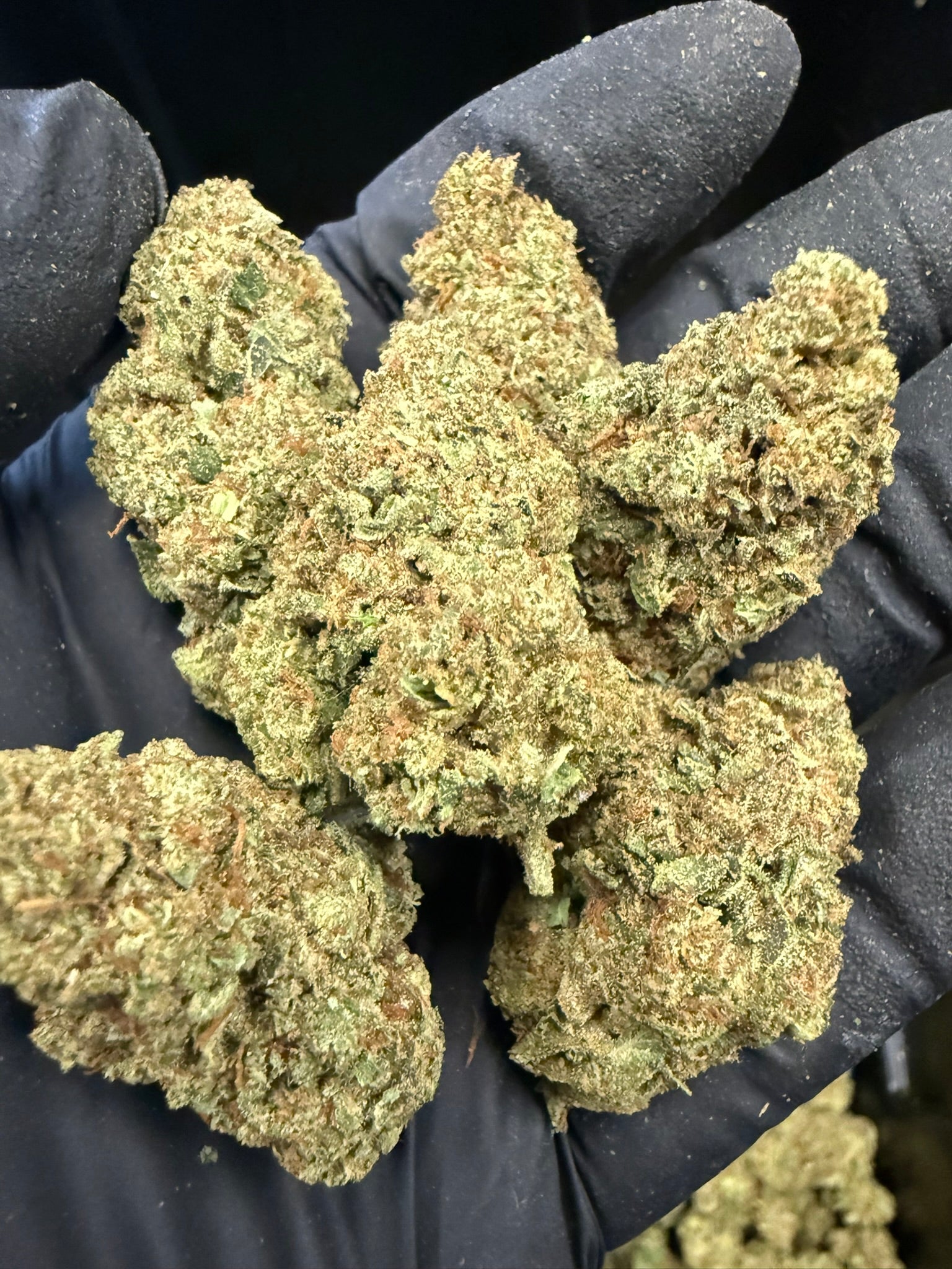 Jolly Rancher