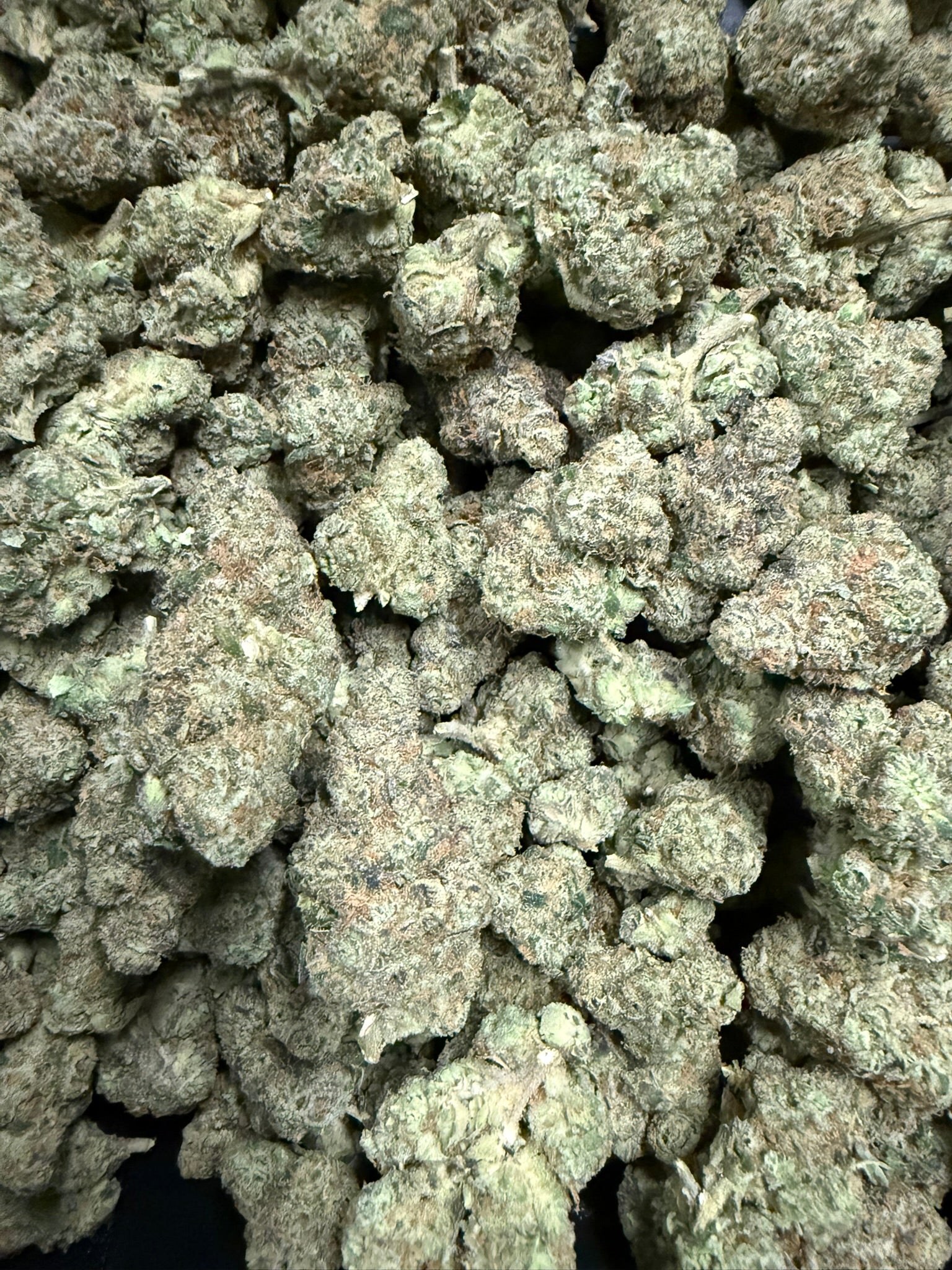 OG Mota