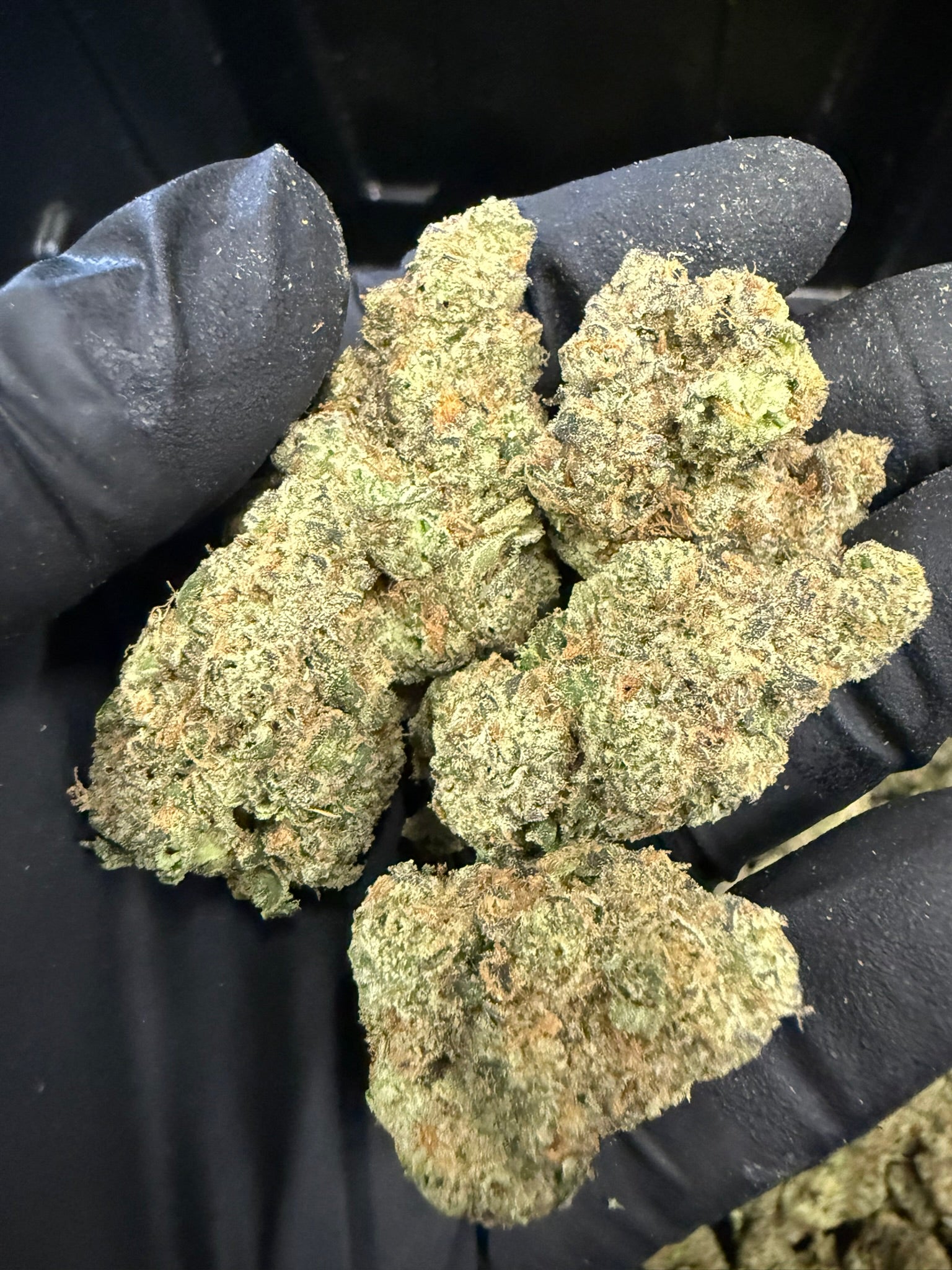 OG Mota