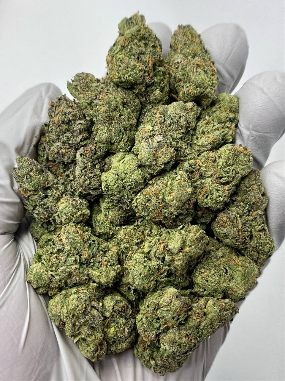 Blue Dream