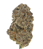 Gelato Cake