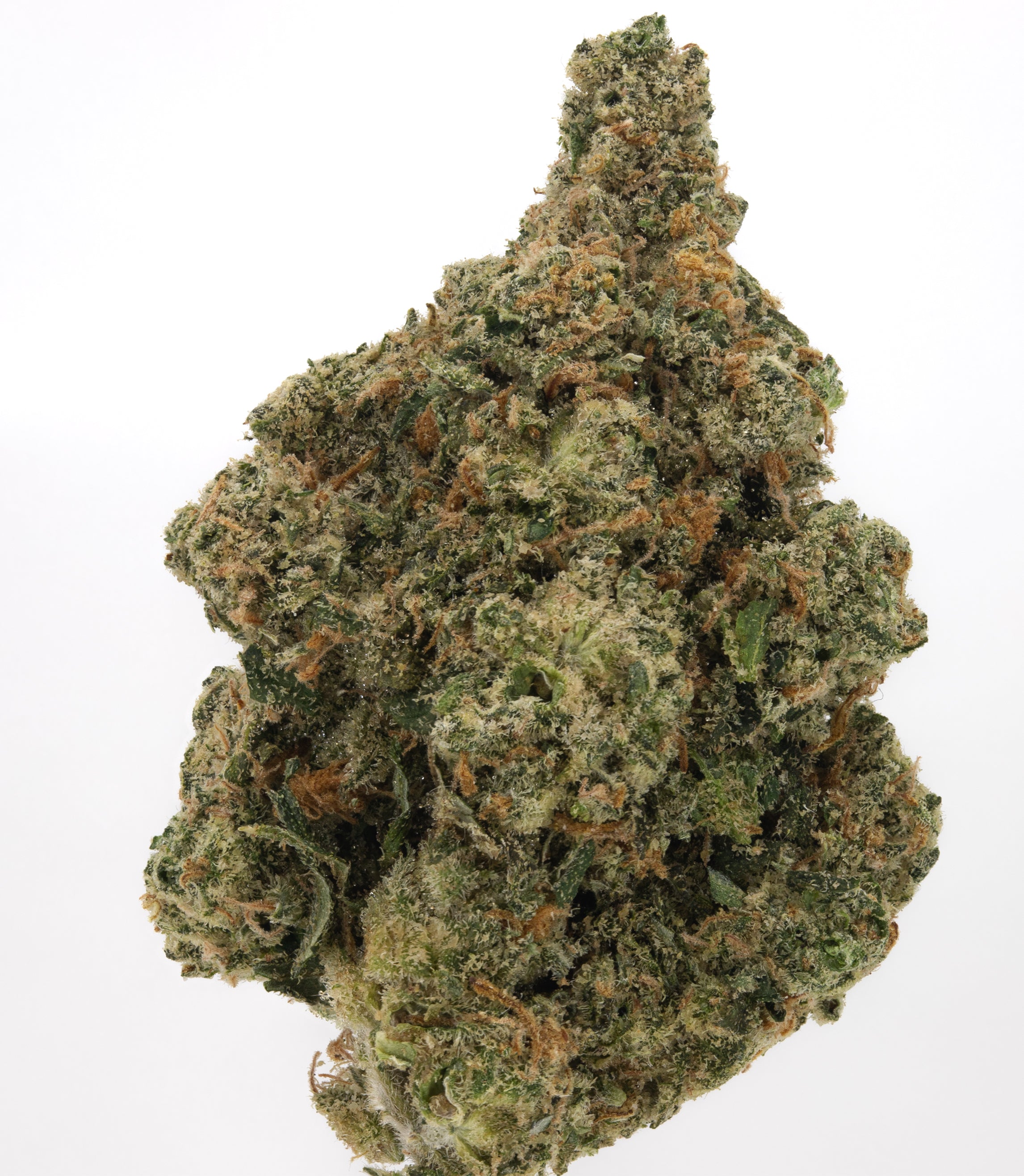 Jack Herer