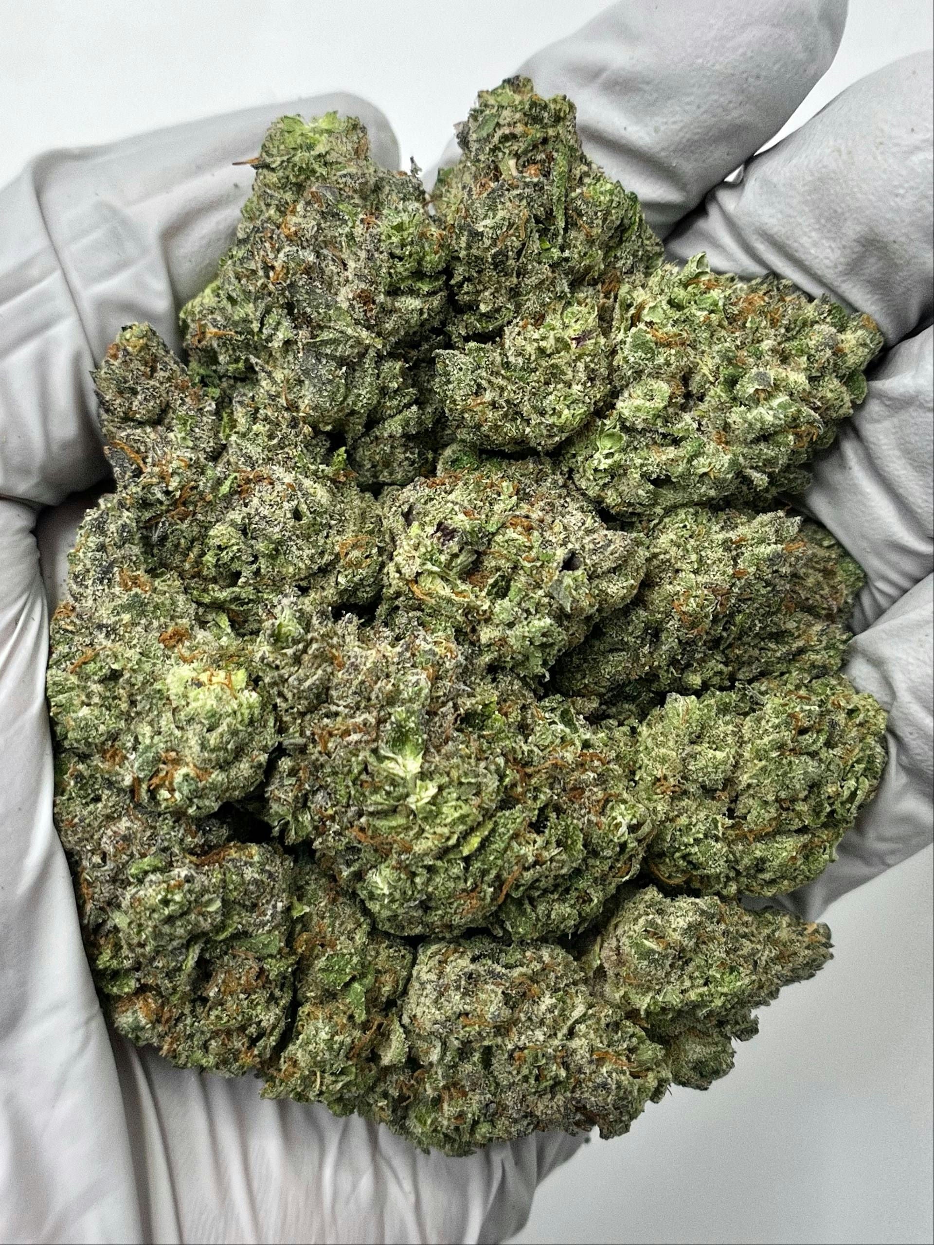 Citrus Runtz Meltz