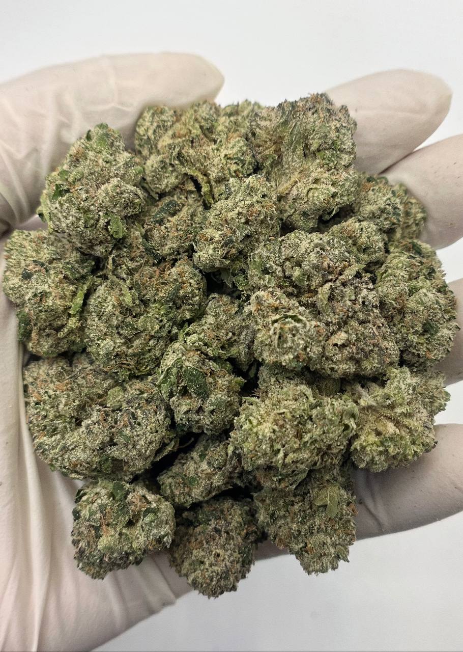 Lemon Cherry Gelato