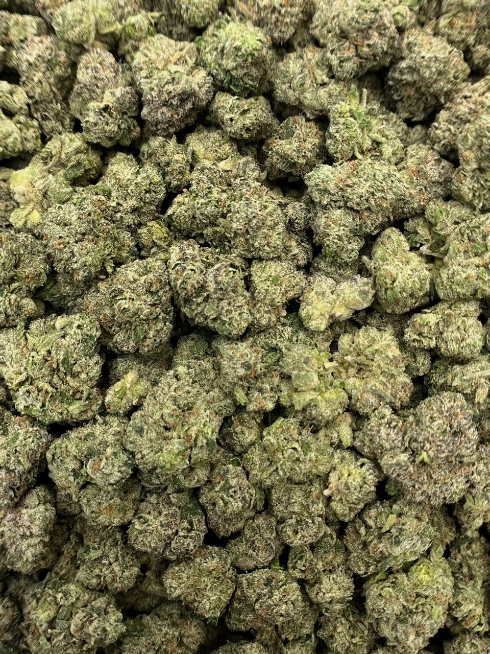 Lemon Cherry Gelato