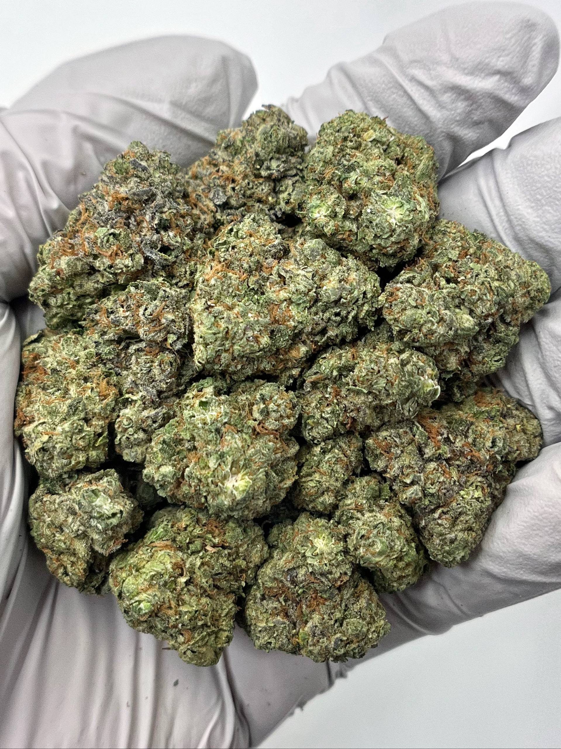 Mint Chocolate Chip