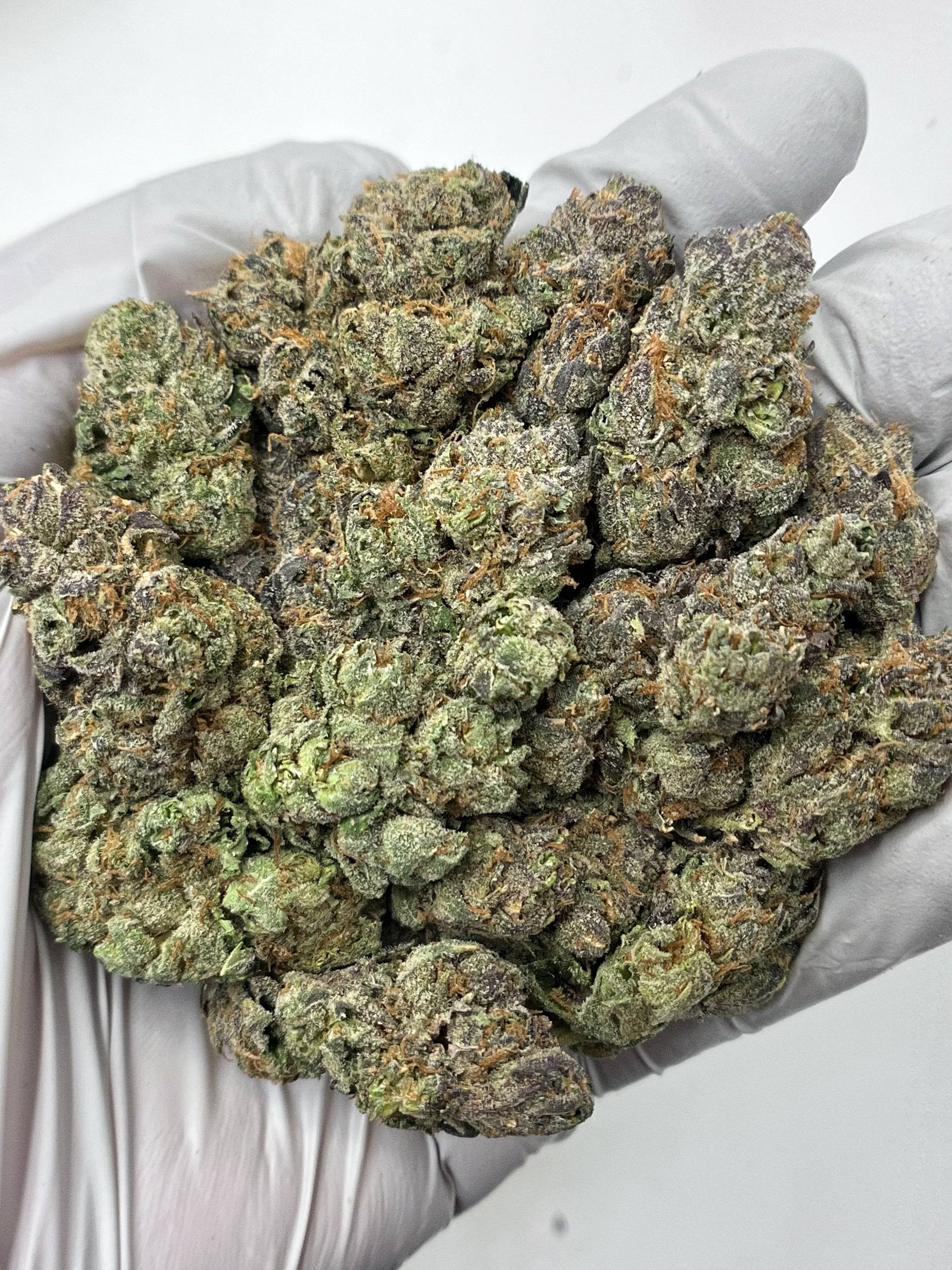 Grape Stomper