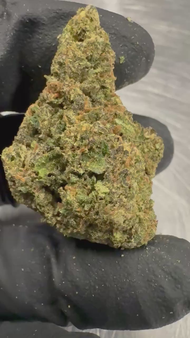 Load video: Grape Octane OG