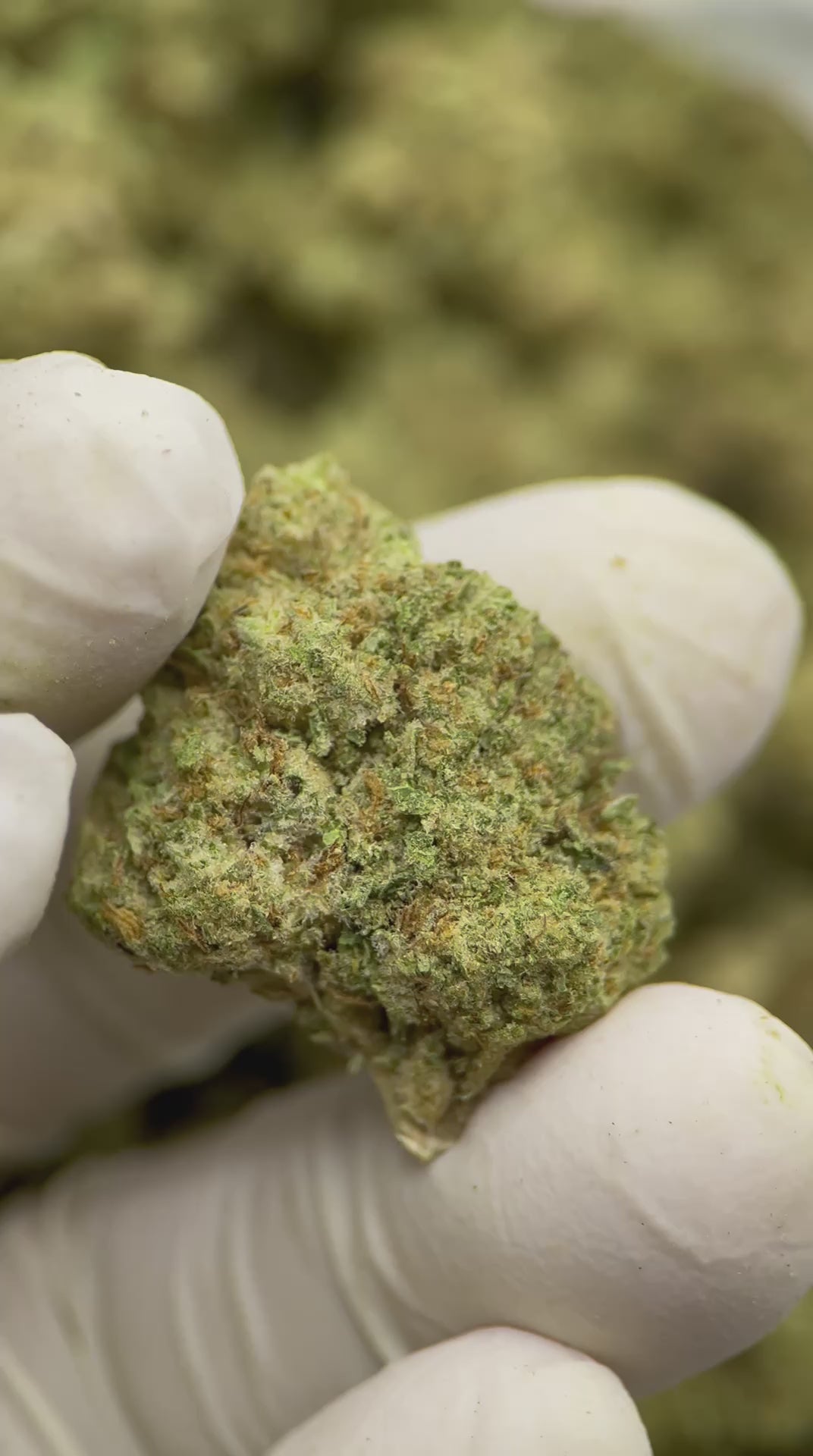 Load video: Kush Crasher
