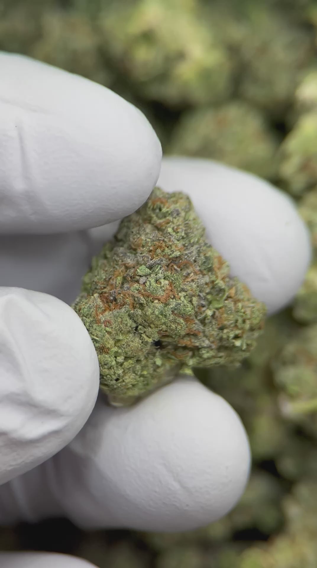 Load video: Mint Chocolate Chip