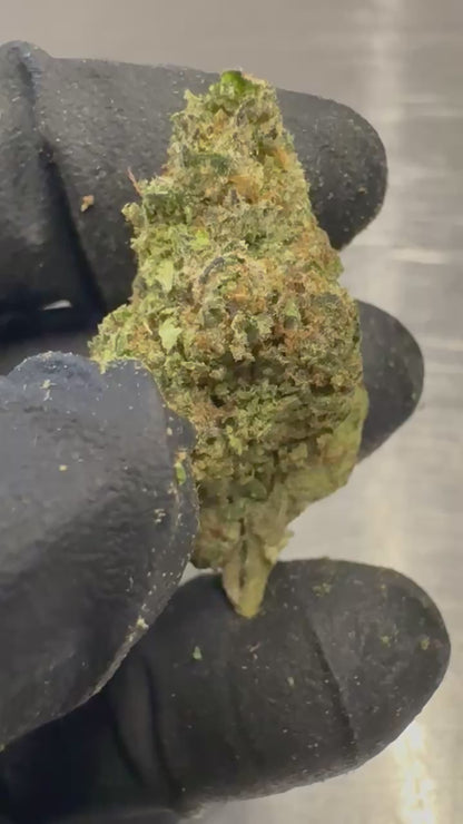 Super Glue