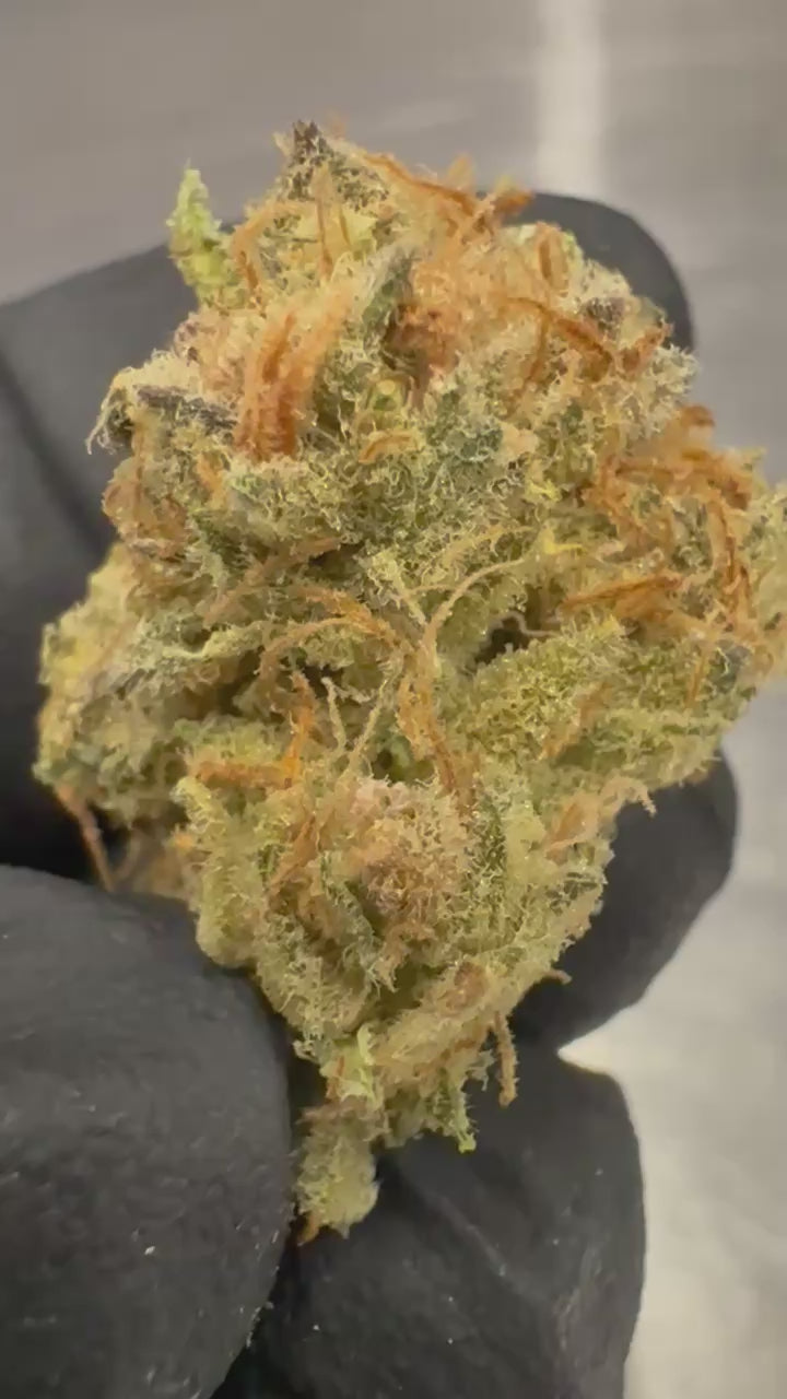 Load video: Shishkaberry x Old Widow
