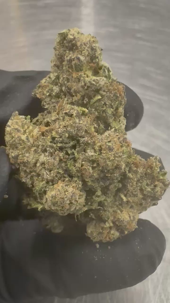 Load video: Razzle Dazzle