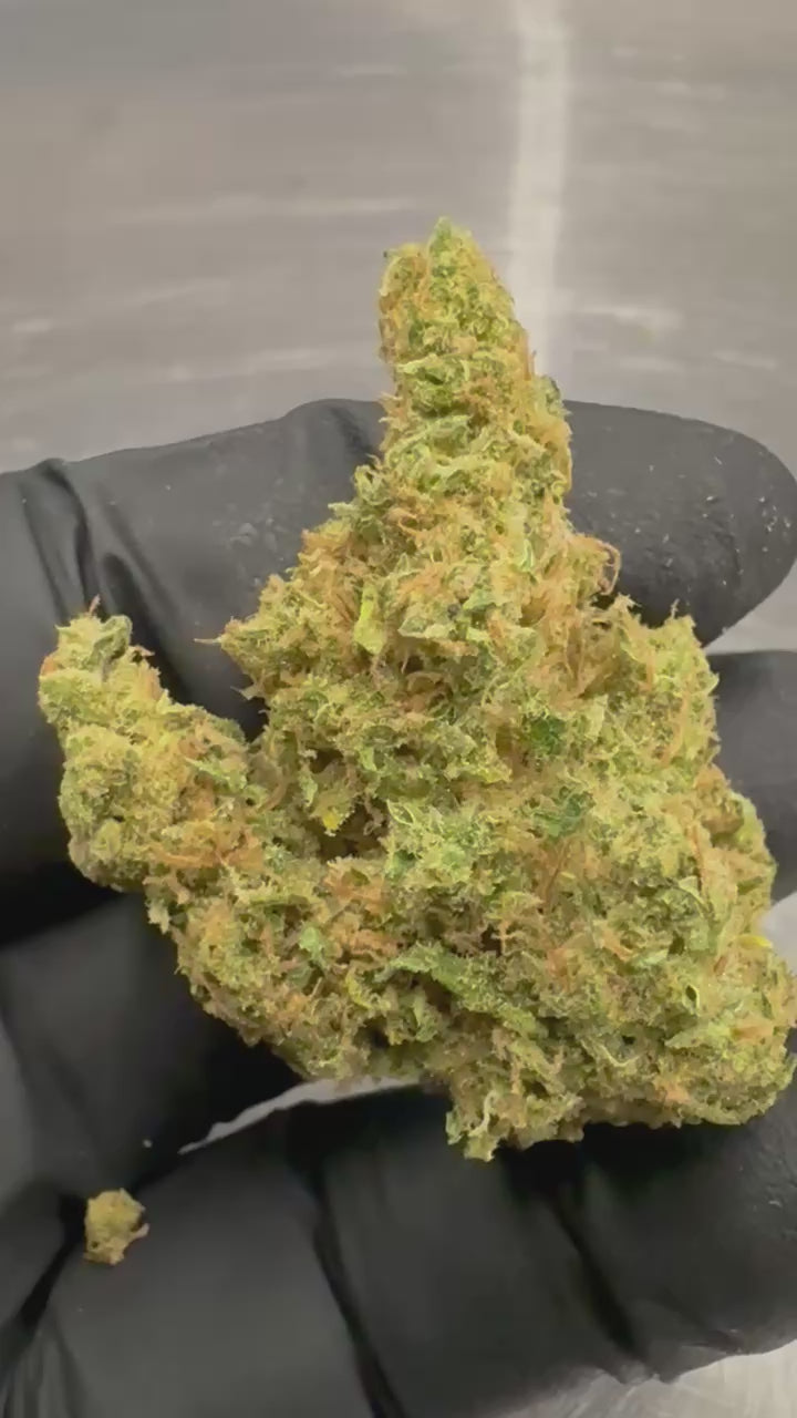 Load video: Moloka&#39;i Frost