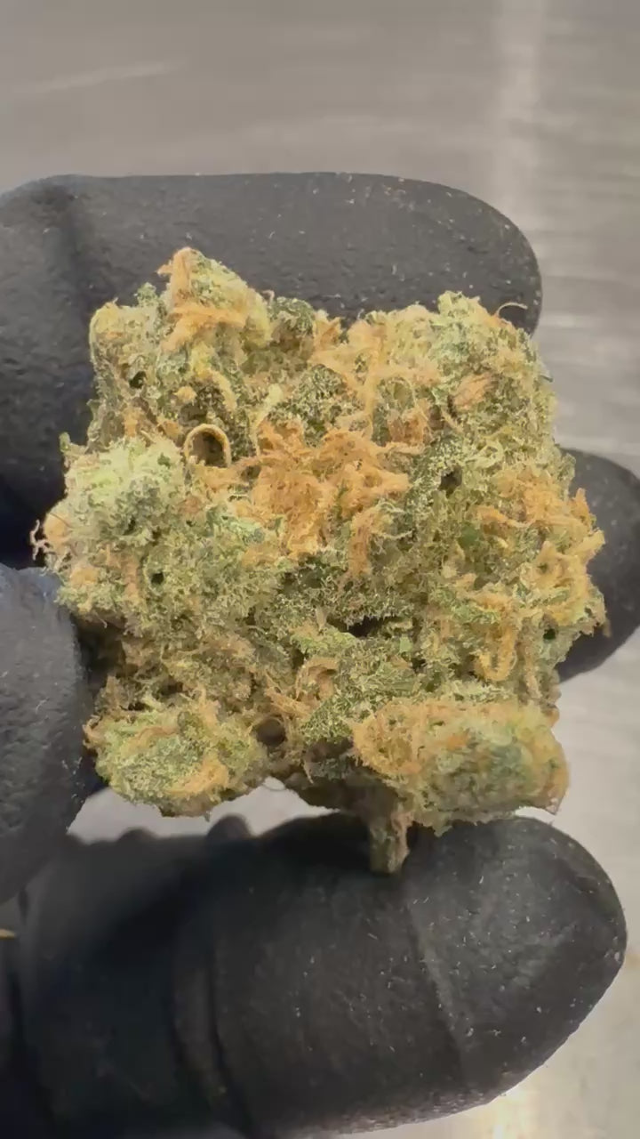 Blue Dream