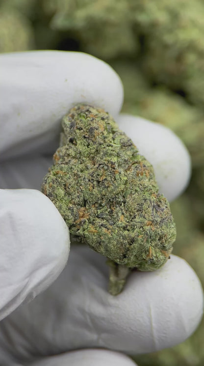 Blue Dream