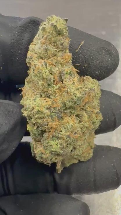 OG Mota