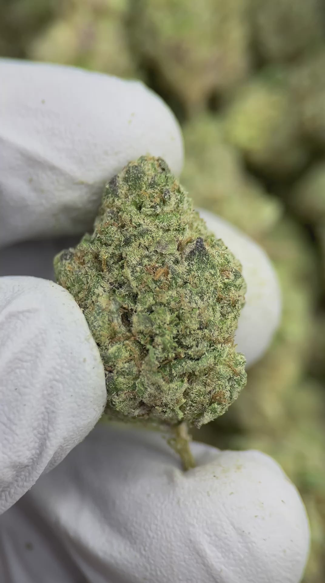 Load video: Crunch Berries