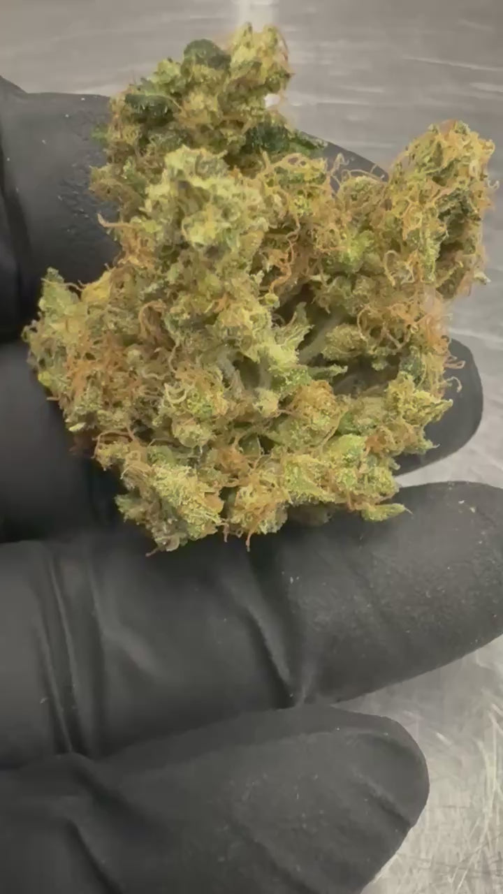 Load video: Bandaid Haze IX 3.0