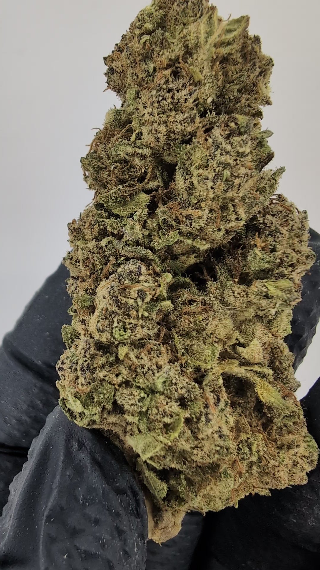 Load video: Electric Lemonade