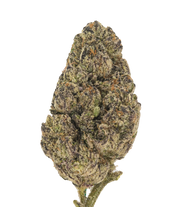 Sherbet